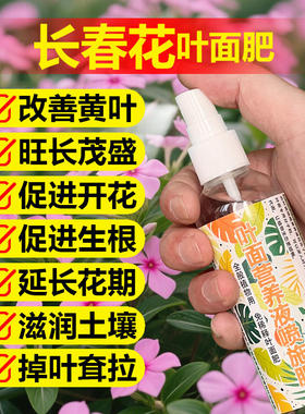 长春花专用肥料养殖花肥花苗营养液叶子发黄打卷萎蔫焦边叶面肥料