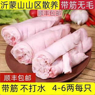 顺丰 猪蹄现杀整只猪蹄新鲜带筋猪蹄子猪脚猪手前蹄后蹄整箱