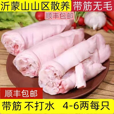 顺丰现杀整只猪蹄新鲜带筋