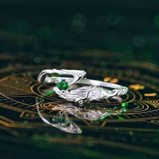 新款现货高品质时尚二次元动漫周边王杰希灭绝星尘辰王戒指指环