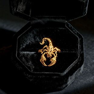 新款高版本星座系列天蝎座之傲指戒复古设计高级感优雅开口戒指