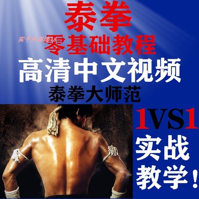 高清中文泰拳零基础入门学习训练搏击格斗术泰拳教学视频自学教程
