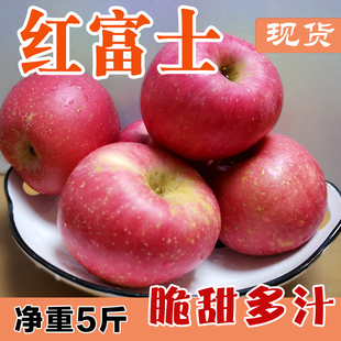 整箱5斤10斤萍果 脆甜烟台红富士苹果山东红富士苹果水果新鲜当季
