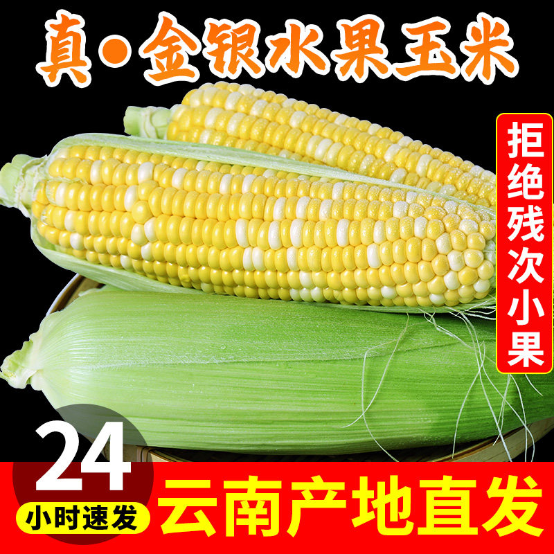 云南金银水果玉米新鲜生吃甜玉米棒子苞谷米现摘糯包邮蔬菜