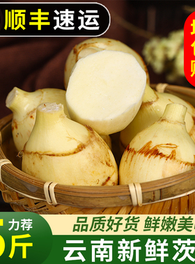 云南新鲜慈姑茨菰茨菇白马蹄鲜慈姑5斤粉糯荸荠新鲜蔬菜顺丰包邮