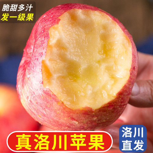 中鲜生正宗陕西洛川苹果一级果