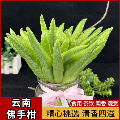 云南新鲜佛手果闻香观赏