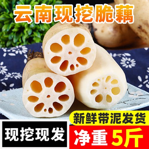 云南脆藕新鲜现挖煲汤藕
