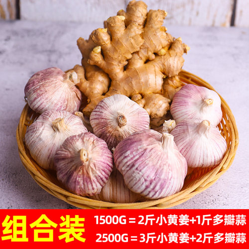 云南小黄姜多瓣蒜组合装