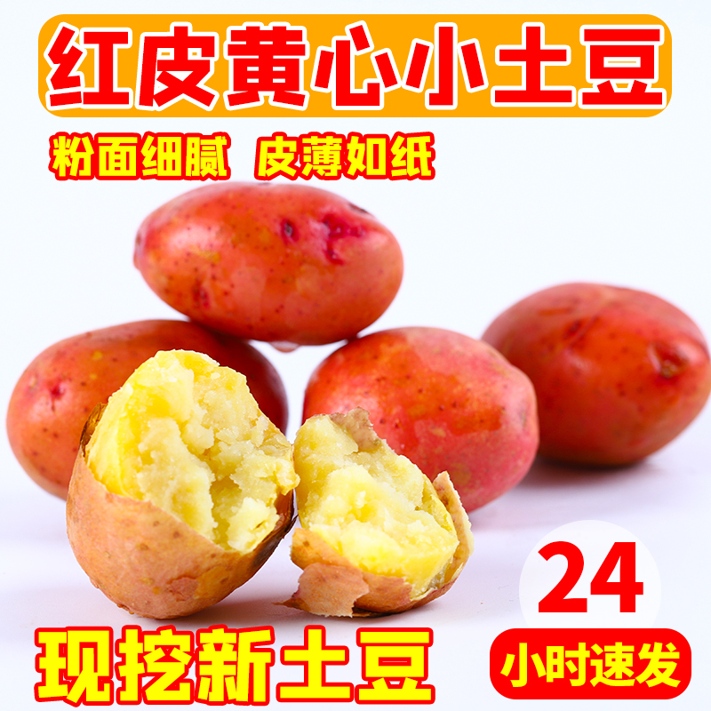 红皮小土豆中鲜生粉面香甜