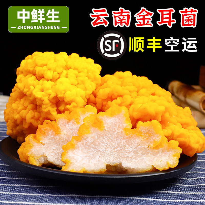 中鲜生现摘新鲜金耳菌1斤云南新鲜植物燕窝蘑菇刺身黄金菇包邮