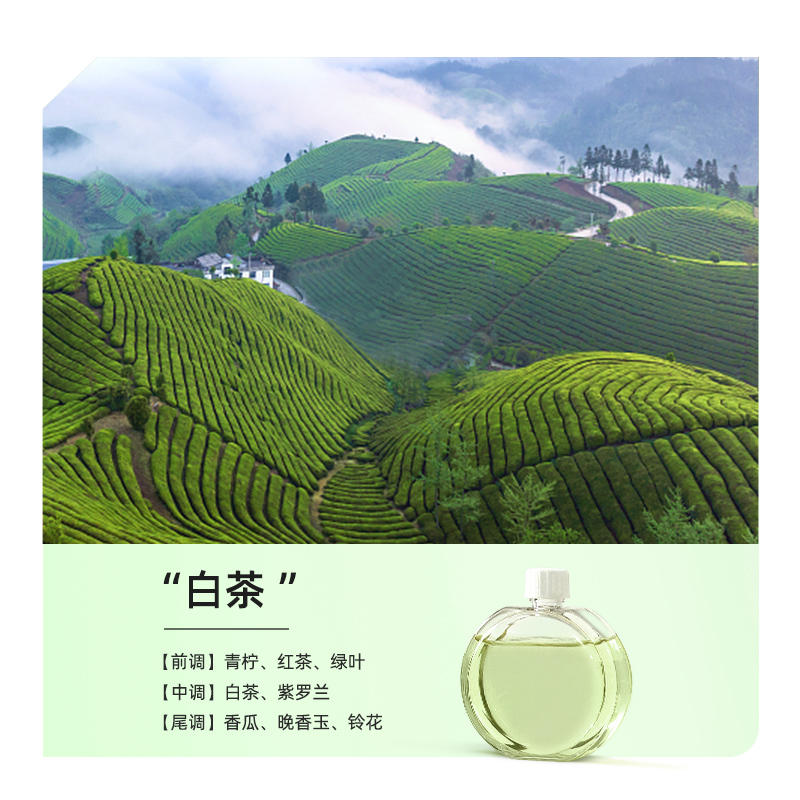 向物喷香机专用精油祛味留香