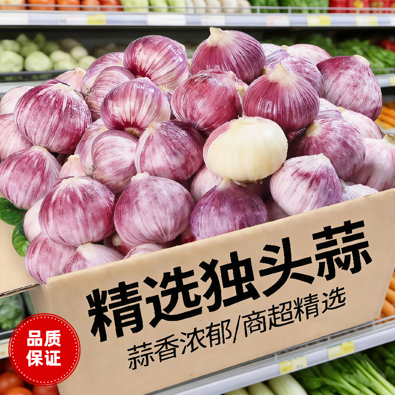 农家紫皮独头蒜新鲜应季5斤现挖红大蒜湿大蒜优质特大果蔬菜批发
