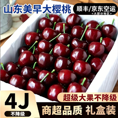 山东美早樱桃国产车厘子新鲜礼盒