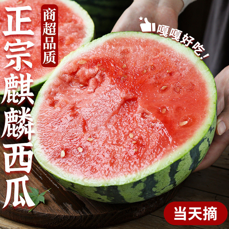 正宗麒麟西瓜新鲜水果当季现摘薄皮冰淇淋大西瓜脆甜9斤整箱包邮