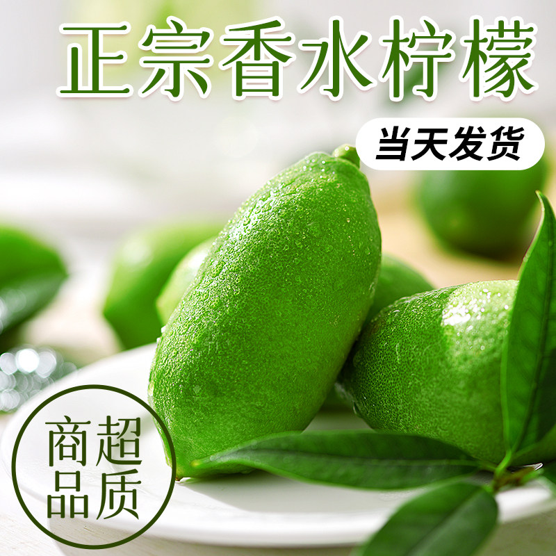 香水柠檬新鲜一级果当季现摘薄皮无籽青柠檬泡蜂蜜水奶茶店同款