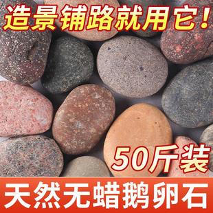五彩铺地鹅卵石铺路大号河卵石黑白石头原石鱼缸装饰天然鹅软暖石