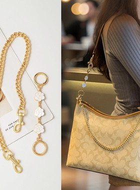 米莱适用蔻驰laurel延长链改造coach流浪包内胆加长装饰链条配件