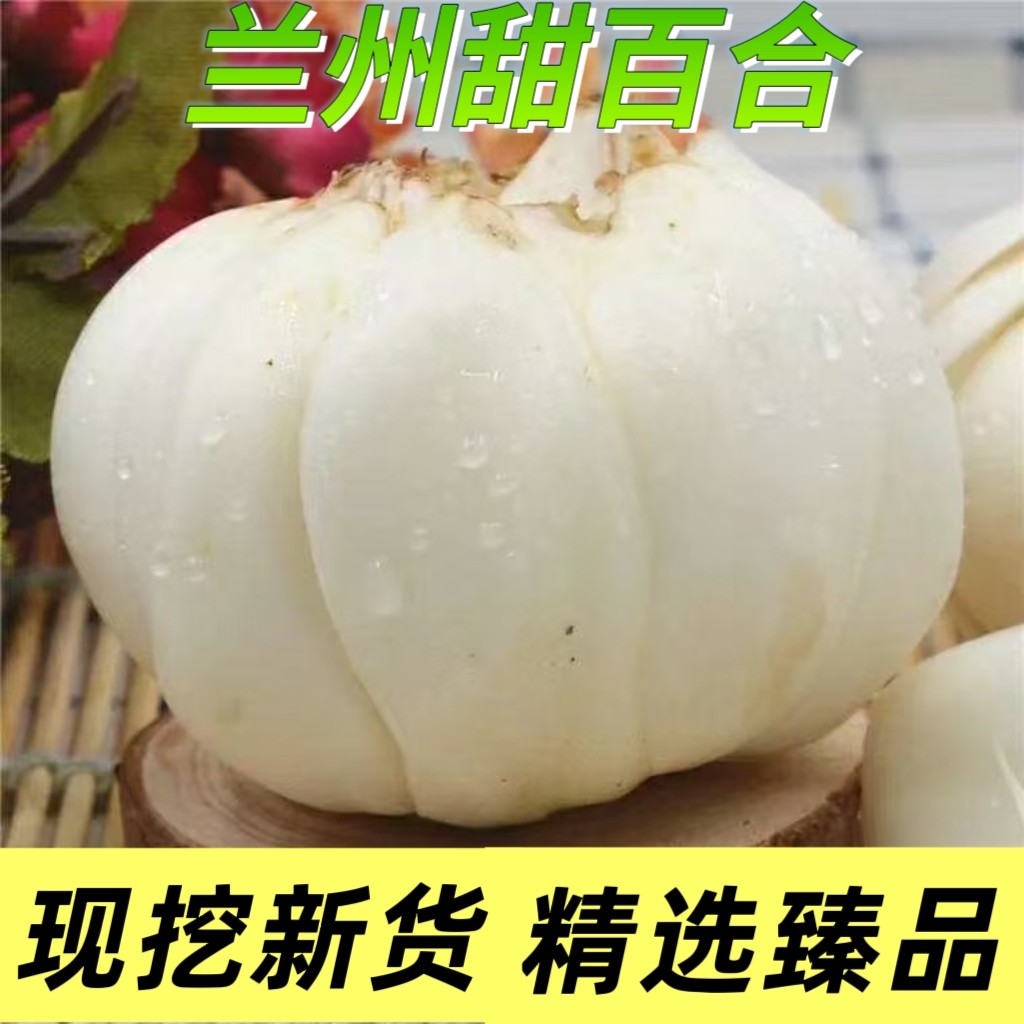 兰州农家食用新鲜特级十年真空无残留纯天然手工制作精品特大百合