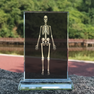 全身立体白骨观观想图水晶玻璃摆件桌面工艺品摆台摆设创意