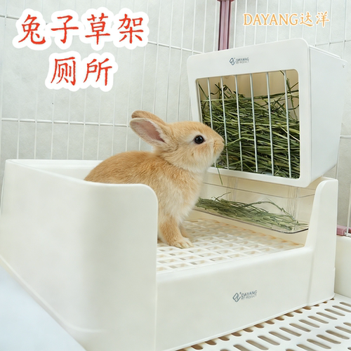 达洋厕所大号防掀翻兔厕所易清理