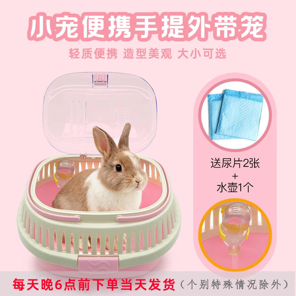 兔子仓鼠金丝熊椭圆轻质便携高透外带笼刺猬龙猫豚鼠貂手提外带箱