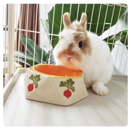 宠物胡萝卜陶瓷食盆兔子龙猫豚鼠荷兰猪卡通陶瓷碗吃饭碗喝水碗