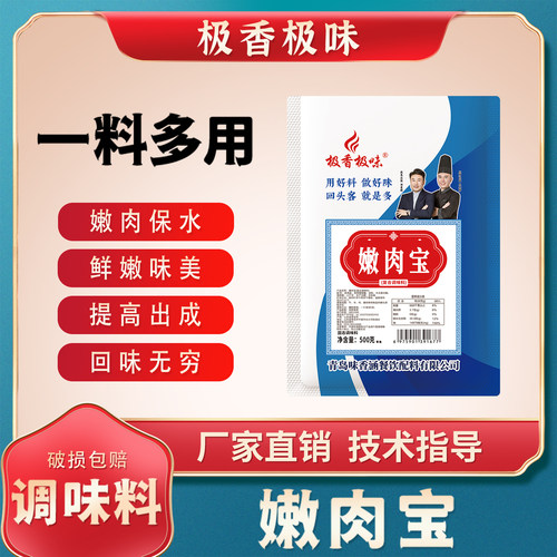 极香极味嫩肉宝嫩肉粉食用松肉粉商用烧烤腌牛肉鸡肉500g调味料