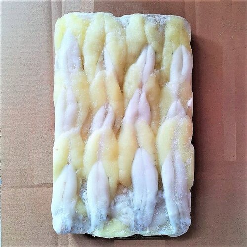 宁波舟山特产下饭菜包邮冷冻鱿鱼