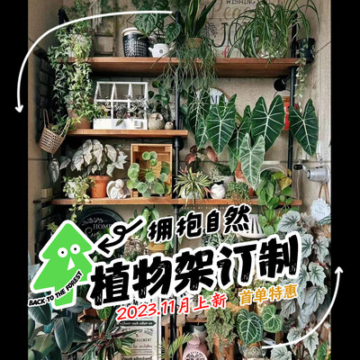 热植花架多层植物架网红ins风格