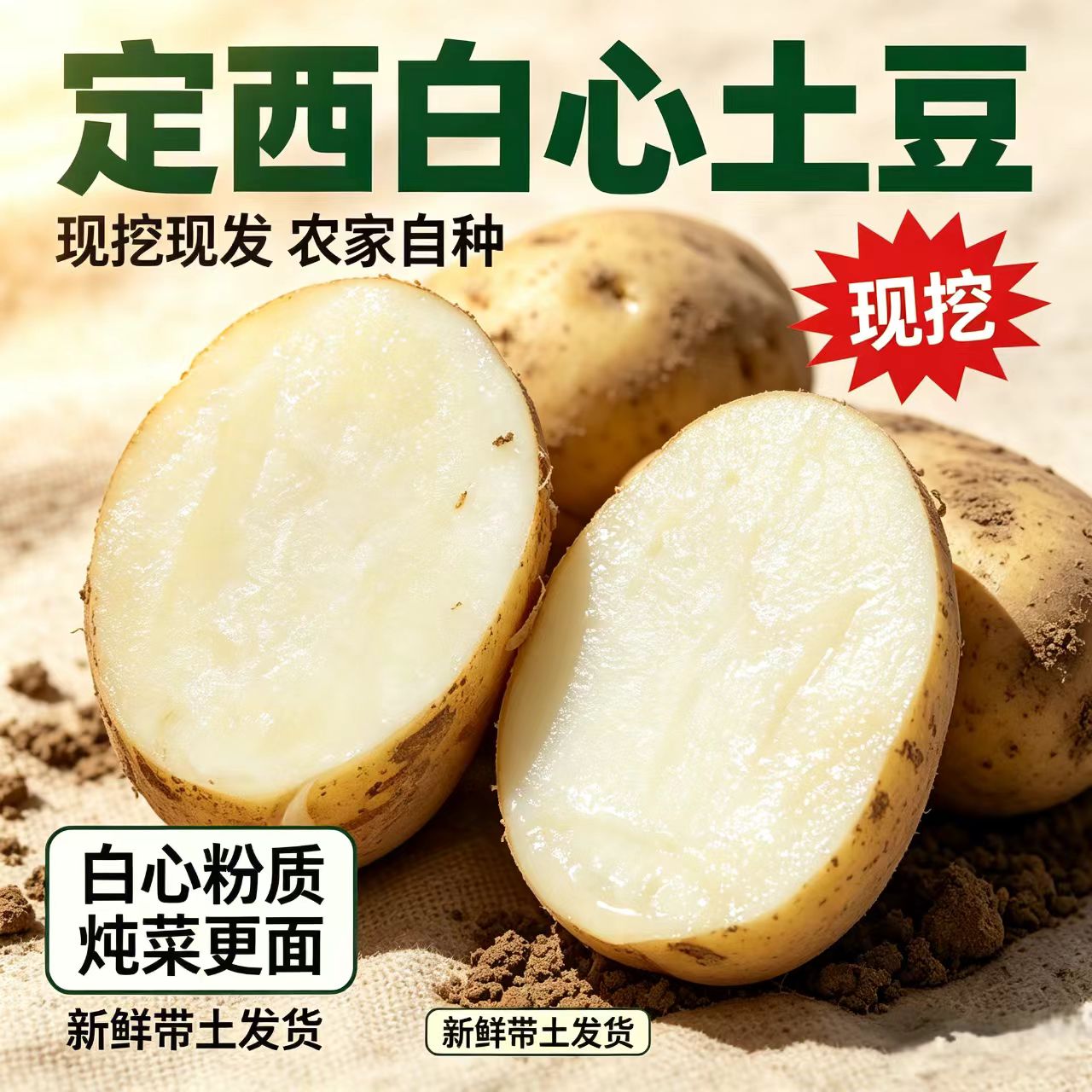 甘肃定西土豆白心小洋芋马铃薯新土豆