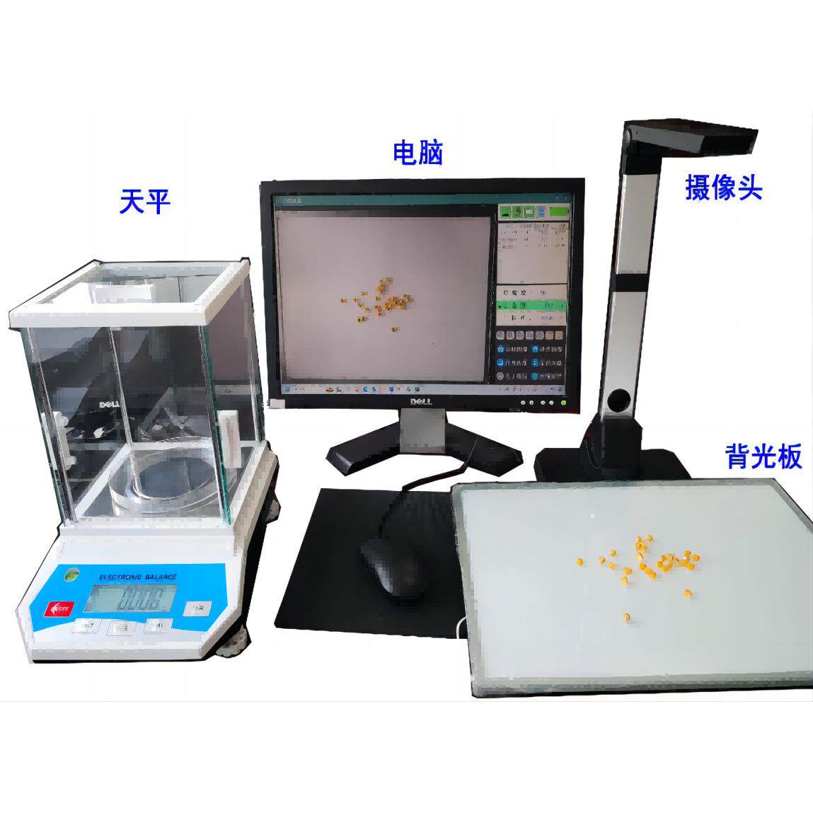 高智能考种仪玉米小麦粮食谷物分析系统千粒重检测自动考种分析仪