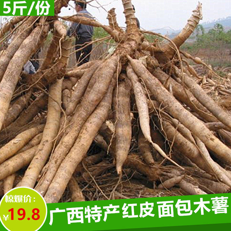 广西特产红皮面包木薯新鲜现挖木薯粉糯甜板栗木薯蜜薯新鲜蔬菜