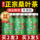 霜后桑叶茶桑树叶桑葚打秋后桑叶新鲜中药材桑叶干官方旗舰店正品