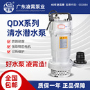 QD家用工业农用灌溉大流量抽水机380V滴灌220V水泵 凌霄潜水泵QDX