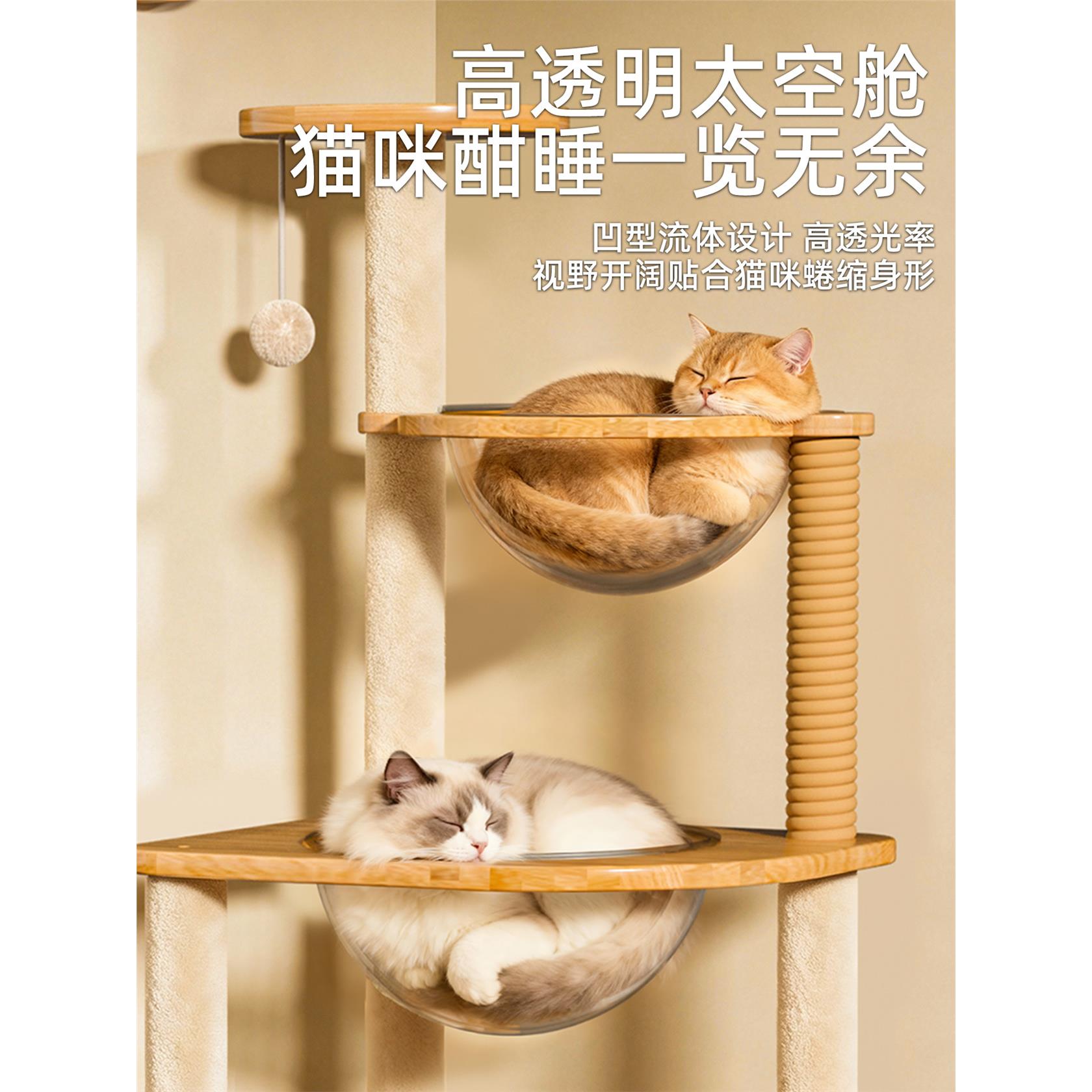 猫爬架家用子猫窝猫树一