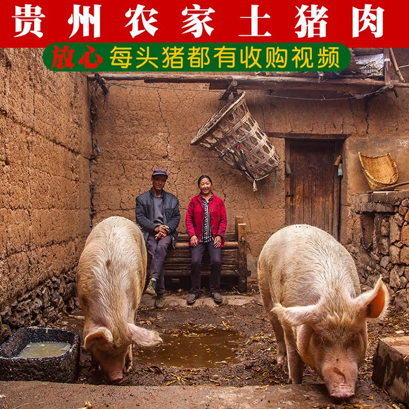 贵州农家散养现杀肋排500g土猪肉