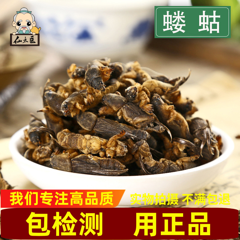 蝼蛄中药材500克250克精选新货