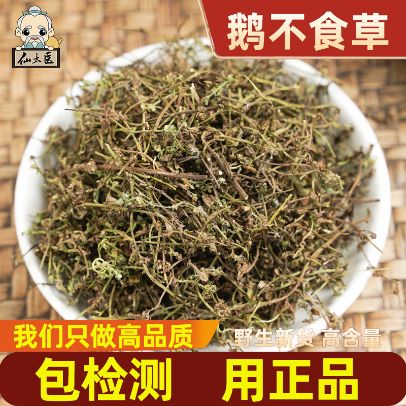 仙太医鹅不食草药材500克可磨粉