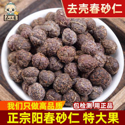 仙太医春砂仁中药材正宗阳春春砂仁干果500克泡茶煲汤香料可磨粉