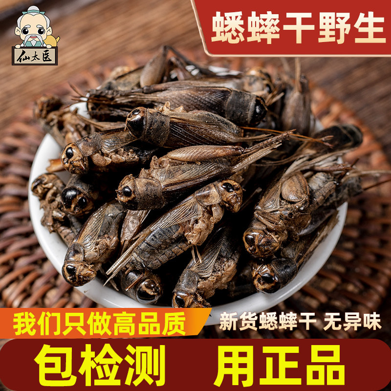 蟋蟀干中药材蟋蟀蚂蚱干货蛐蛐干虫子鸣虫正品新鲜饲料将军虫冻干