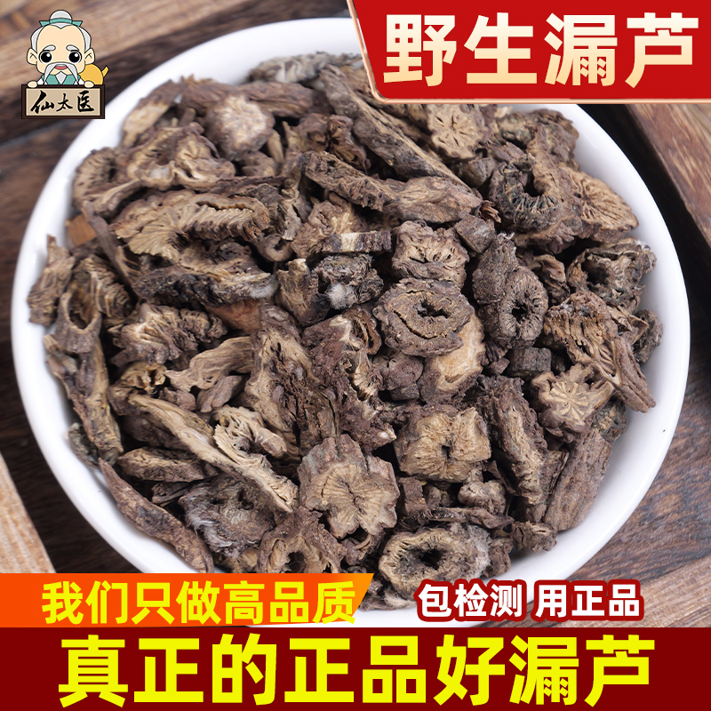 仙太医东北漏芦野生中药材500g