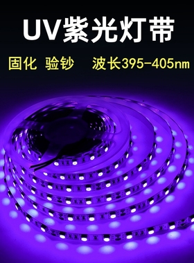 12v24v紫色led灯带验钞杀菌消毒荧光紫外线光UV固化灯条USB5v自粘