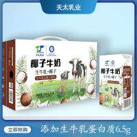 牛奶椰子牛乳茉莉雪芽儿童成人