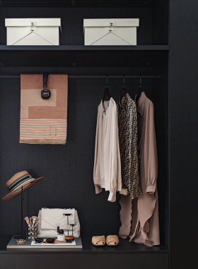 样板间女士衣帽间衣柜女包首饰托