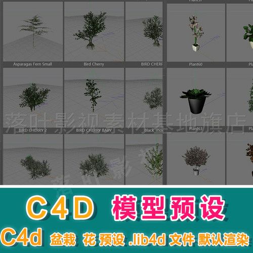 m11- c4d模型预设 .lib4d 3d盆栽 花  灌木等模型预设 普通精度
