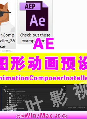 35  AE图形文字动画插件预设 AnimationComposer 2.9 ae图形 预设