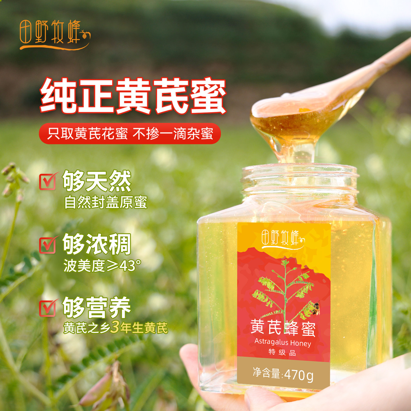 田野牧蜂特级黄芪蜜纯正天然蜂蜜