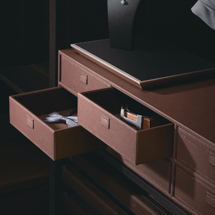 悍高葆碟BV系列高级灰饰物收纳抽时尚轻奢衣柜衣帽间收纳五金