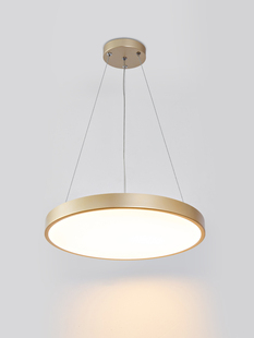 斯堪 客厅卧室圆形Led书房家庭餐厅餐 纳维亚灯后现代简单时尚